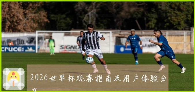 2026世界杯观赛指南及用户体验分享