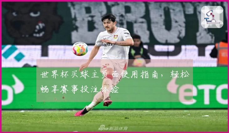世界杯买球主页面使用指南，轻松畅享赛事投注体验