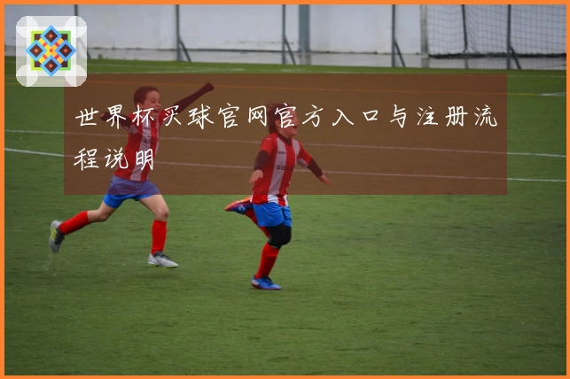 世界杯买球官网官方入口与注册流程说明