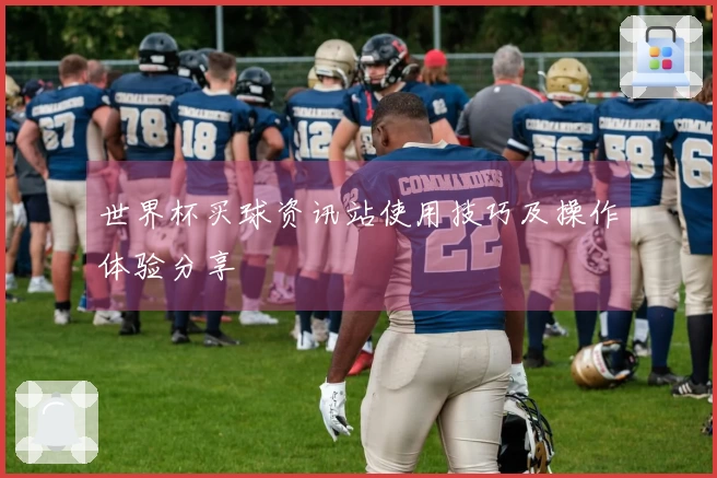 世界杯买球资讯站使用技巧及操作体验分享