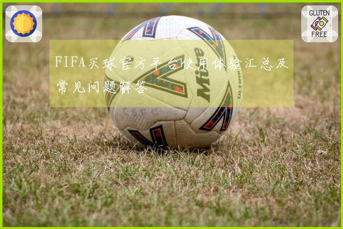 FIFA买球官方平台使用体验汇总及常见问题解答