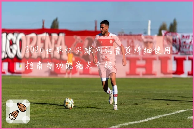 2026世界杯买球网站首页详细使用指南与功能亮点介绍