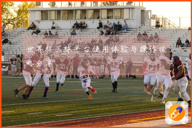 世界杯买球平台使用体验与操作攻略分享