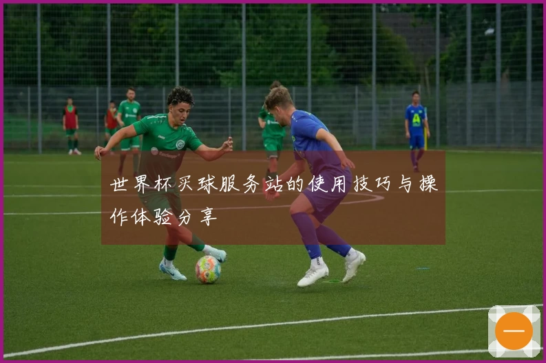 世界杯买球服务站的使用技巧与操作体验分享