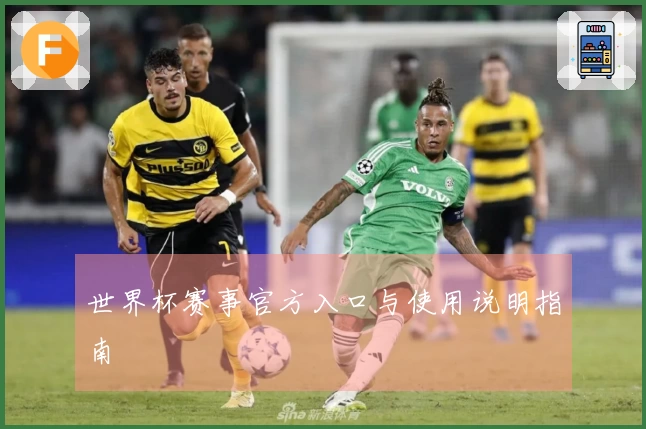 世界杯赛事官方入口与使用说明指南