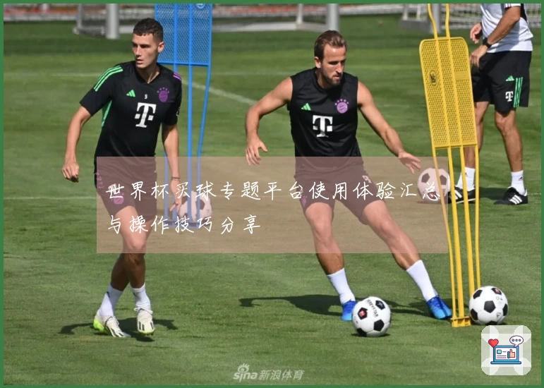 世界杯买球专题平台使用体验汇总与操作技巧分享
