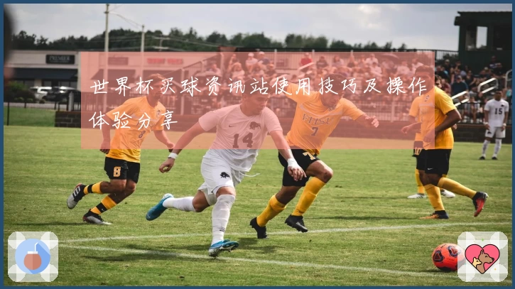 世界杯买球资讯站使用技巧及操作体验分享