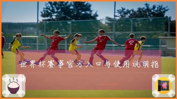 世界杯赛事官方入口与使用说明指南