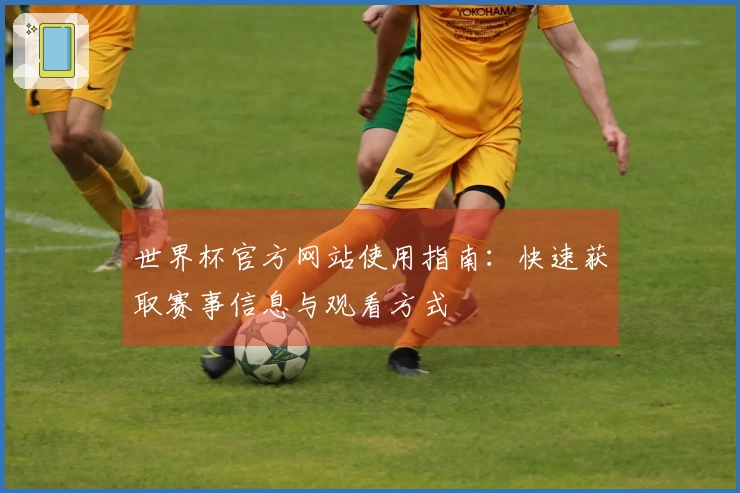 世界杯官方网站使用指南：快速获取赛事信息与观看方式
