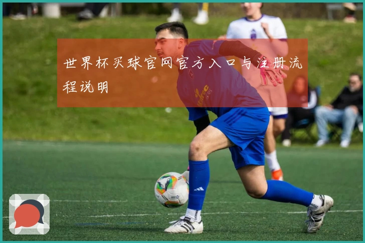 世界杯买球官网官方入口与注册流程说明